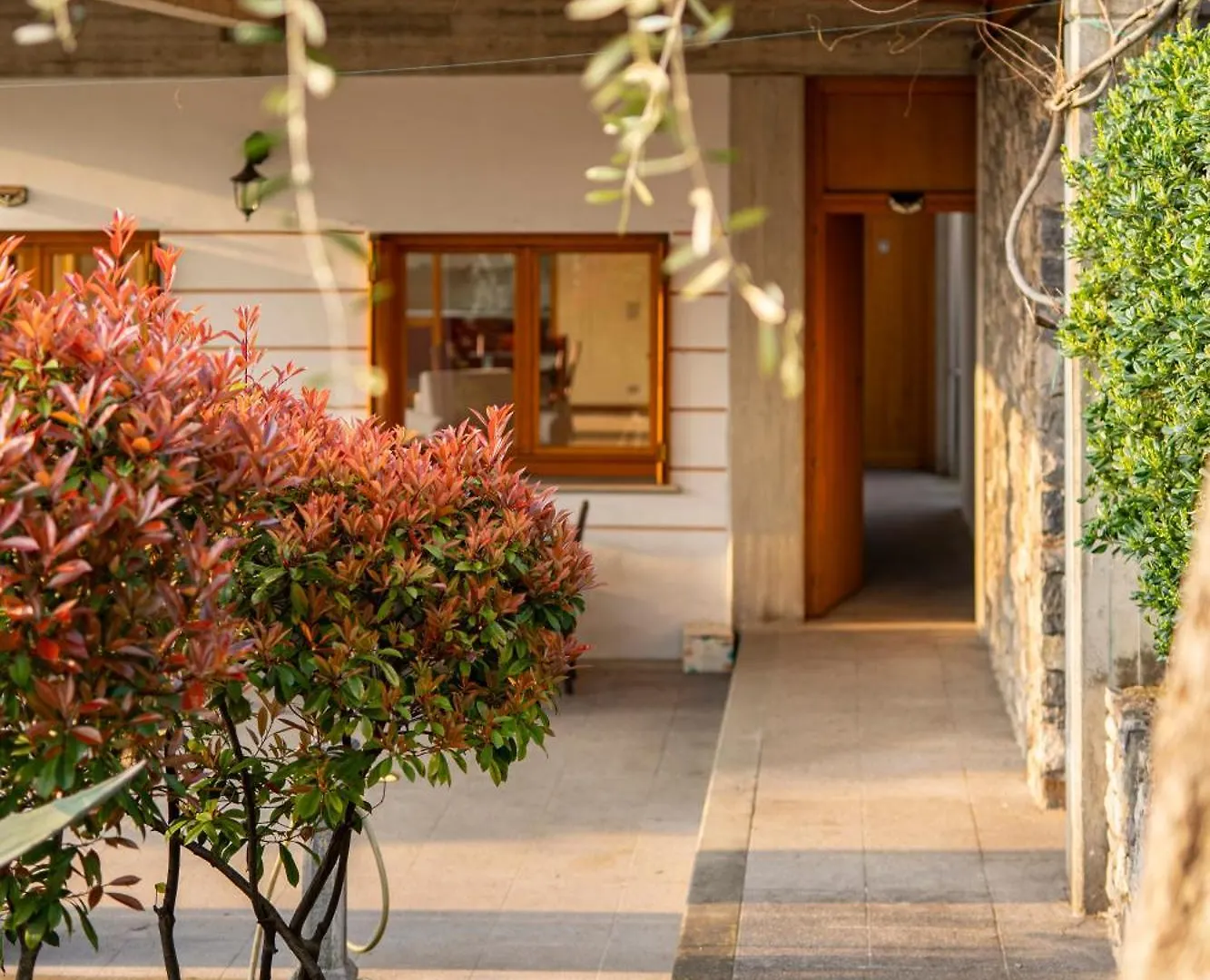 別荘 サーレ・マラジーノ Casa Degli Uliviヴィラ